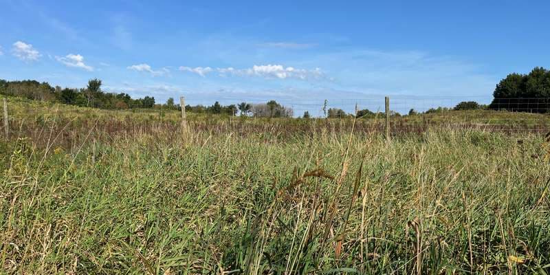 The featured photo for Elm Creek Park Reserve – Eastman Nature Center