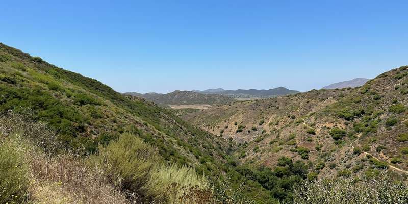 The featured photo for #SpringsFire06