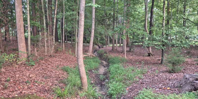 The featured photo for Bethesda Oaks Trail