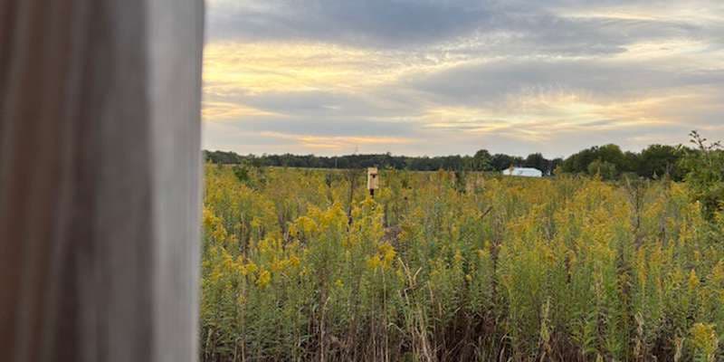 The featured photo for Fox River Bluffs Cropland Conversion