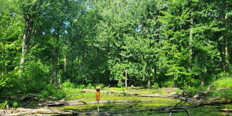 The featured photo for Waa Kee Sha Park