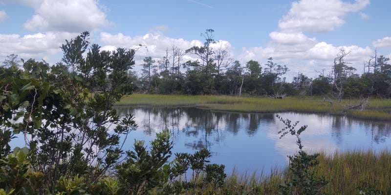 The featured photo for North Carolina Aquarium at Pine Knoll Shores