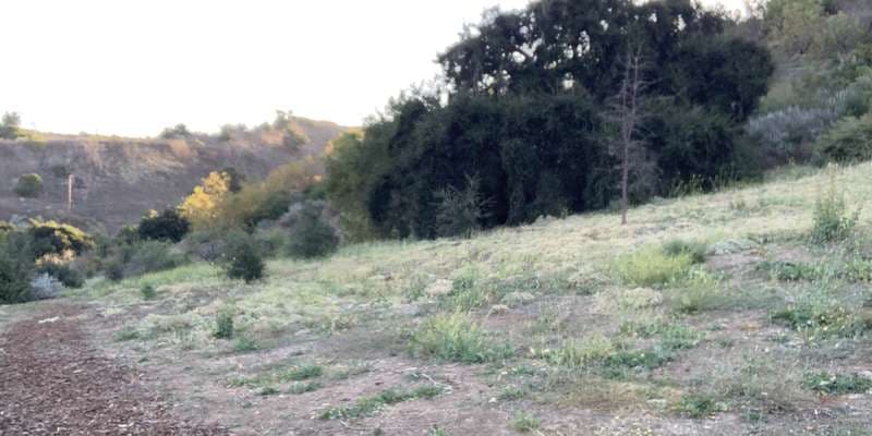 The featured photo for #OldFire22