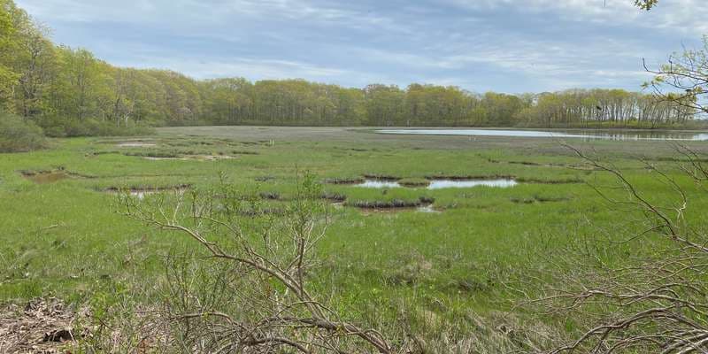 The featured photo for TNC Mashomack Bass Creek