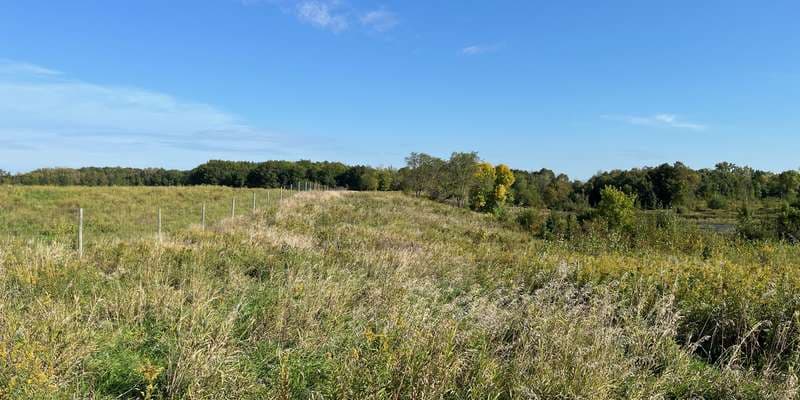 The featured photo for Elm Creek Park Reserve – 121st Forest Restoration