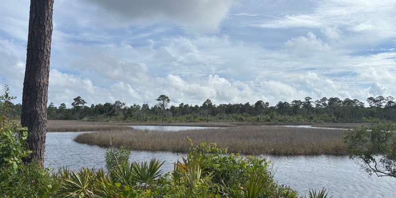 The featured photo for Escribano Point WMA