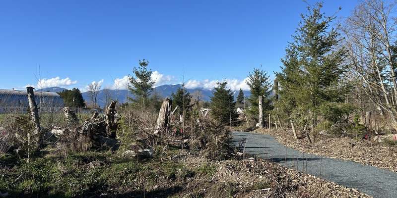 The featured photo for Ts'lhimexósem - House Pit