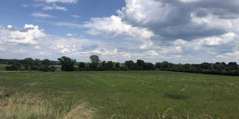 The featured photo for Bluebell Preserve Restoration Project