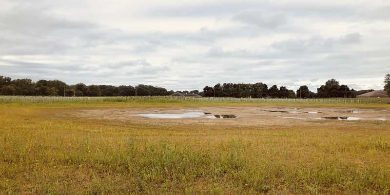 The featured photo for Oak Openings Preserve Wetland Restoration