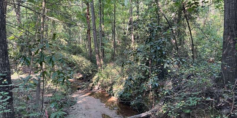 The featured photo for Schiele Museum Nature Trail