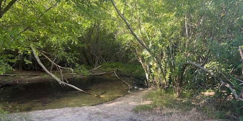 The featured photo for Dry Creek-Station 7