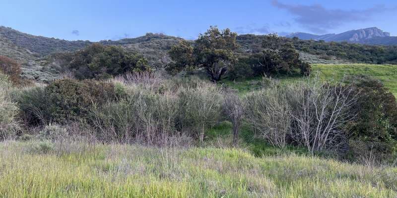 The featured photo for #SpringsFire02