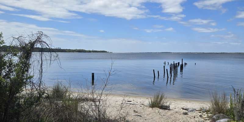 The featured photo for Escribano Point WMA