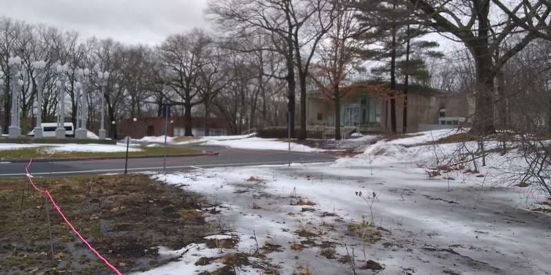 The featured photo for Rose Art Museum Pollinator Project