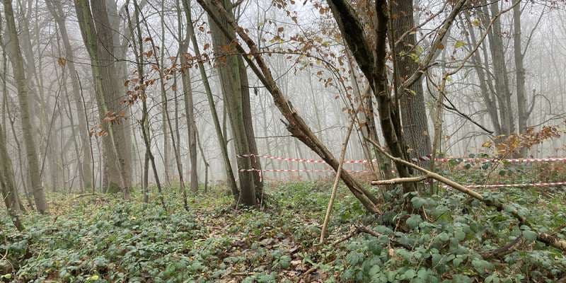 The featured photo for WWS111