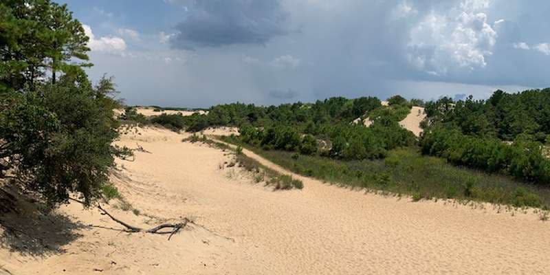 The featured photo for Jockey's Ridge State Park-Boardwalk