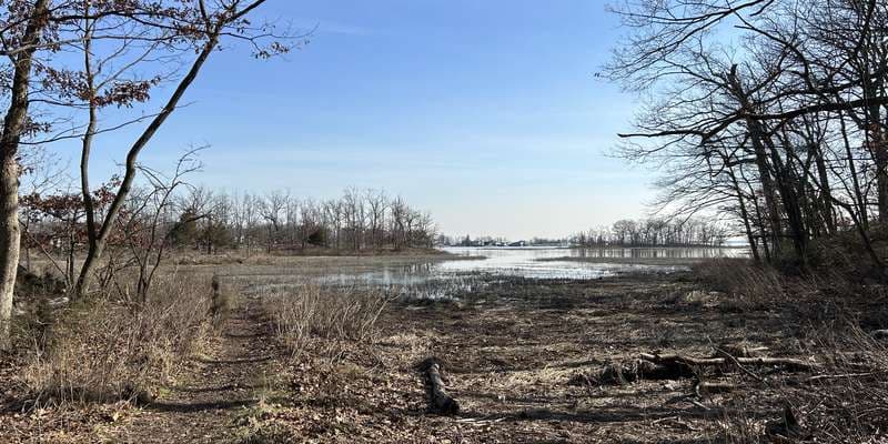 The featured photo for Marshlands Conservancy Saltmarsh
