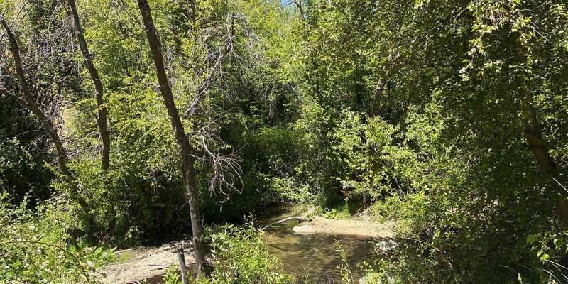 The featured photo for Dry Creek-Station 9