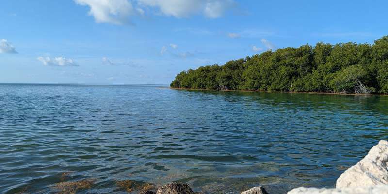 The featured photo for Florida Keys WEA