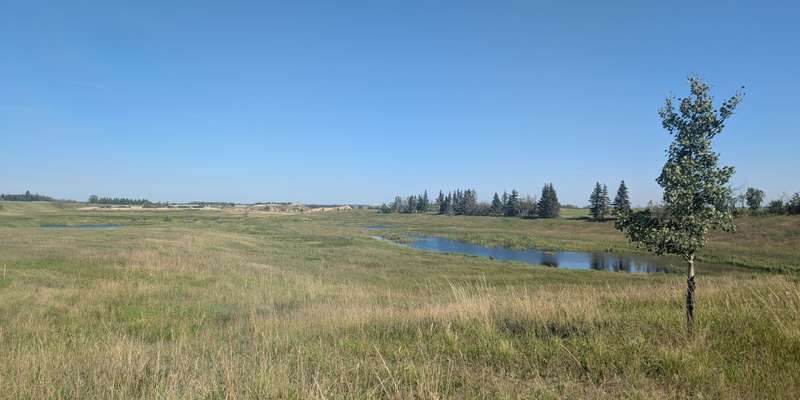 The featured photo for Crooker Wetland