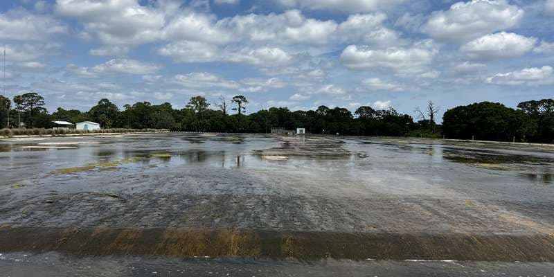 The featured photo for Egret Marsh Stormwater Park and Wildlife Sanctuary