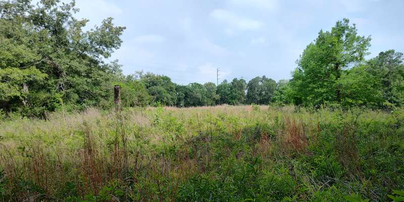 The featured photo for Prairie Field Station