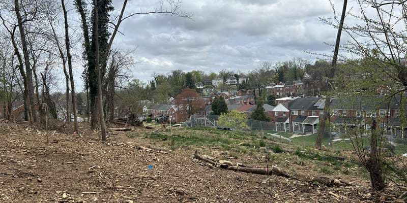 The featured photo for Stillmeadow Meadow