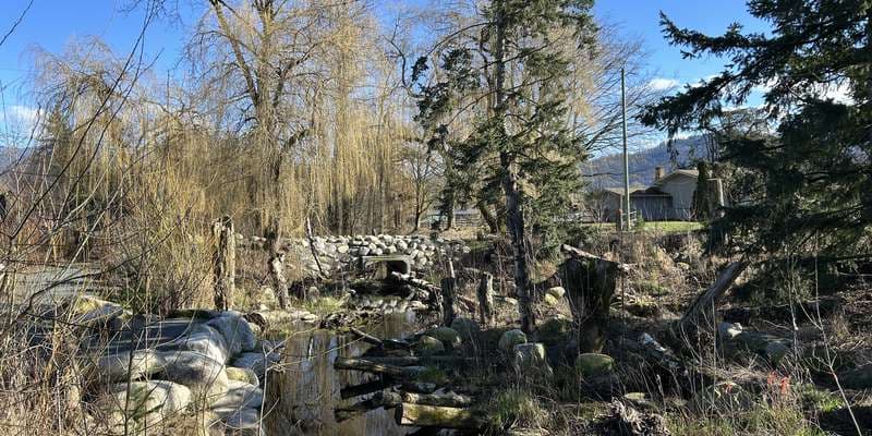 The featured photo for Ts'lhimexósem -Chilliwack Creek Reconnection