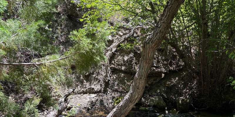 The featured photo for Dry Creek-Station 5