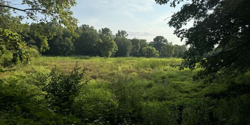 The featured photo for Spring Garden Vernal Pond