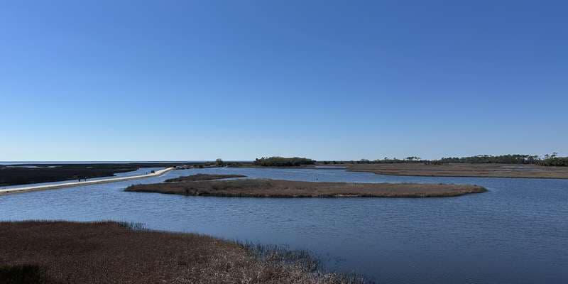 The featured photo for Big Bend WMA