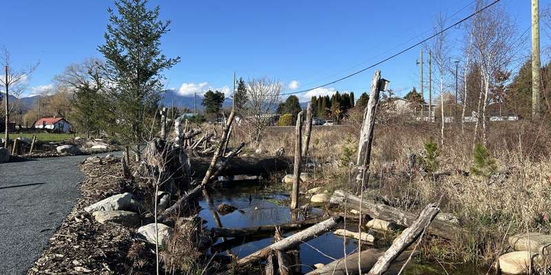 The featured photo for Ts'lhimexósem - Riparian Restoration 1