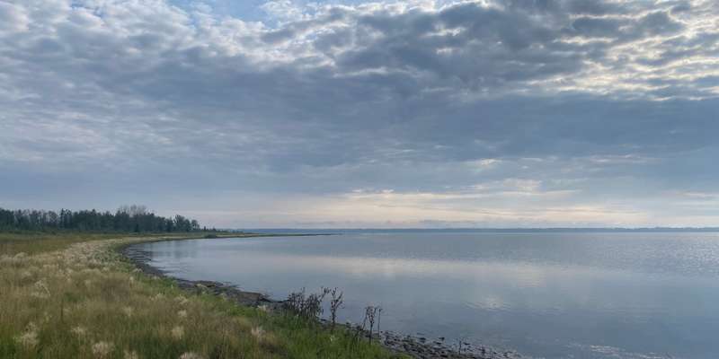 The featured photo for Gull Lake - Sandy Point