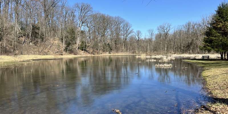 The featured photo for Big Bend Restoration