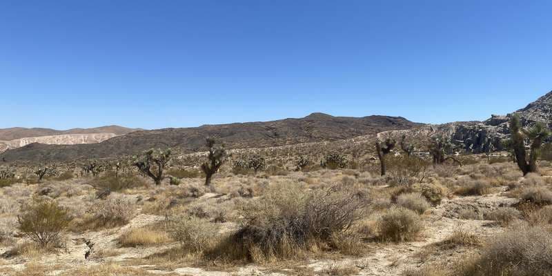 The featured photo for Red Rock - Station 2