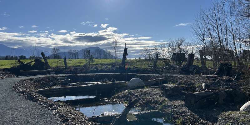 The featured photo for Ts'lhimexósem - Salmonberry Pond