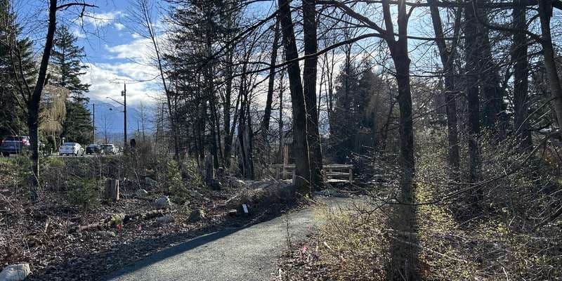 The featured photo for Ts'lhimexósem - Riparian Restoration 3