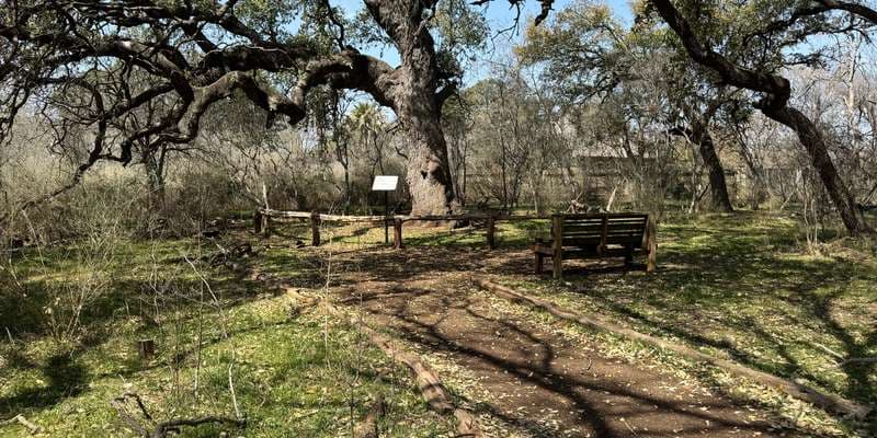 The featured photo for Phil's Tree