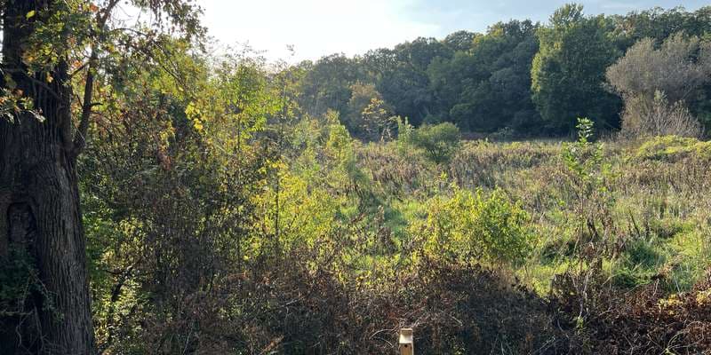 The featured photo for Fen Overlook Area