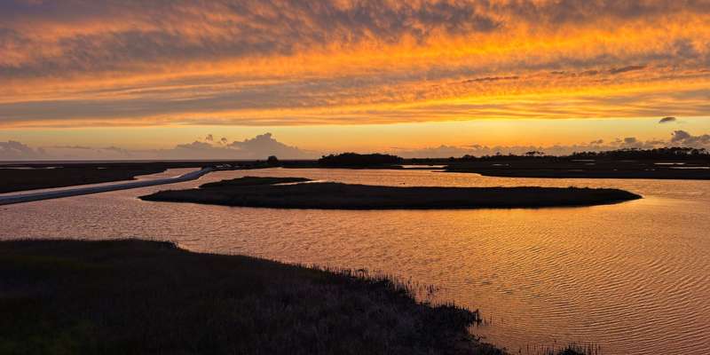 The featured photo for Big Bend WMA - Hickory Mound