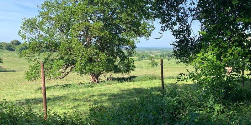 The featured photo for WWS-000