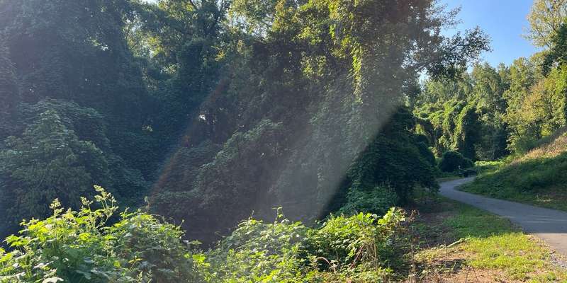 The featured photo for Highland Greenway Station
