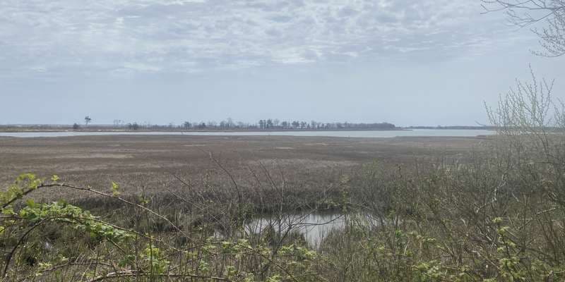 The featured photo for Edwards Farm Preserve- Orient