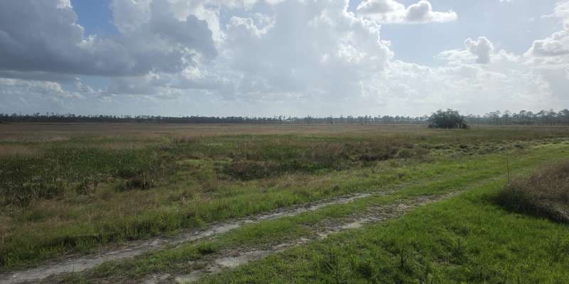 The featured photo for Lake Wales Ridge WEA