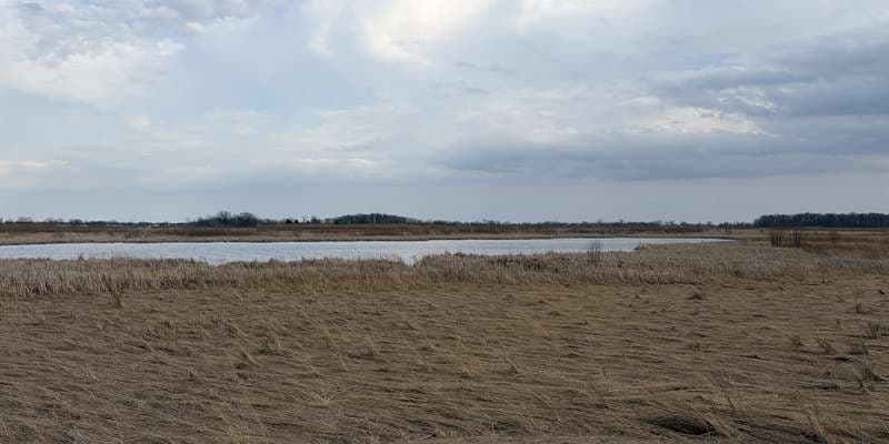 The featured photo for Darby Plains Wet Prairie