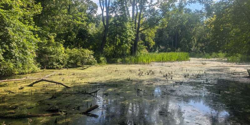 The featured photo for Tallgrass Prairie Heritage Pond