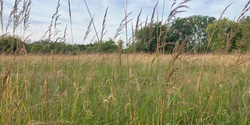 The featured photo for Mississippi Gateway Regional Park – East Trail
