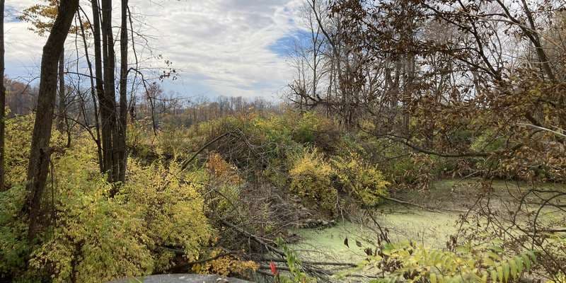 The featured photo for Independence Dam Canal Reconnection & Wetland Creation