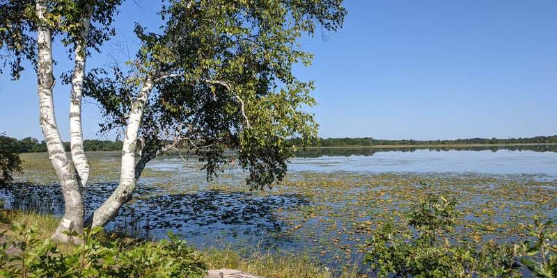 The featured photo for Fish Lake