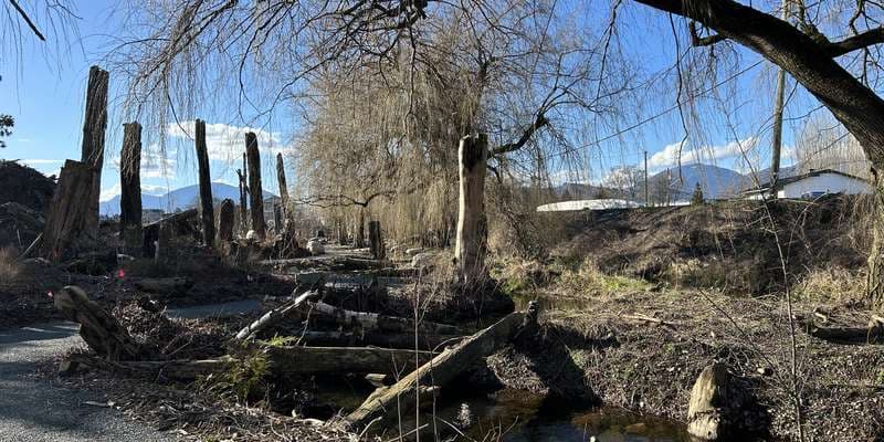 The featured photo for Ts'lhimexósem - Riparian Restoration 2